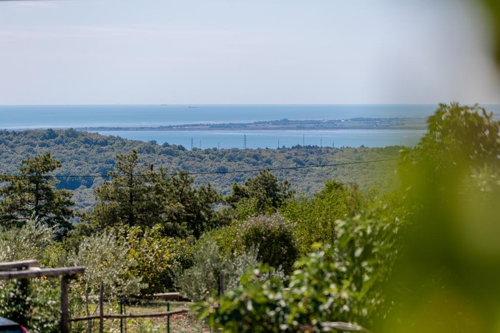 Vila Sistiana Kostanjevica na Krasu Luaran gambar